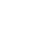 Globe Icon